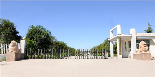 0.1_副本.jpg 0.1_副本.jpg