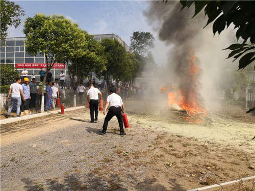 圖片4.jpg 圖片4.jpg